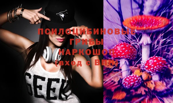 твердый Киренск
